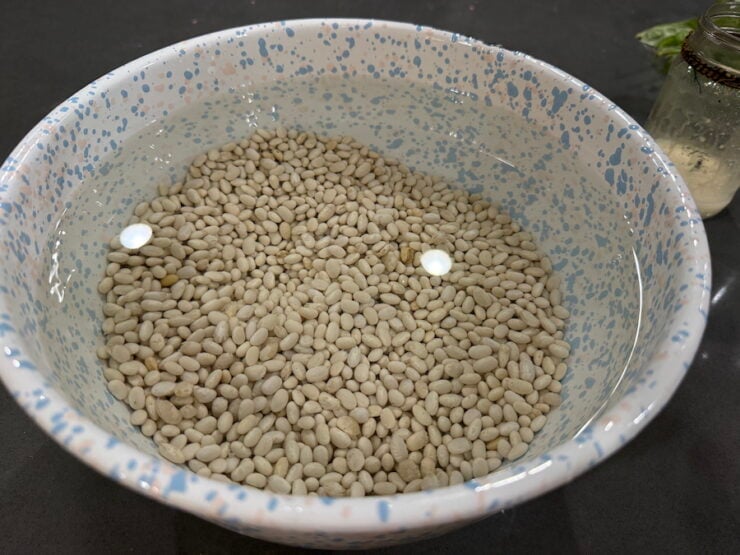 image of soaked navy beans