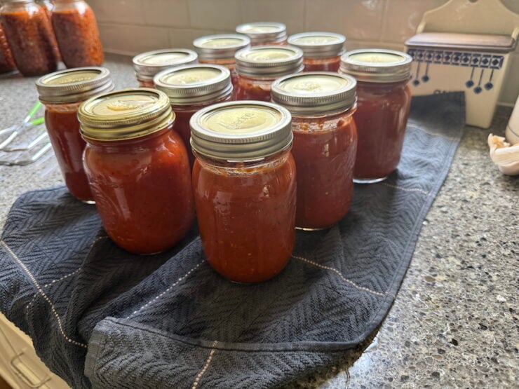 sealed pizza sauce jars