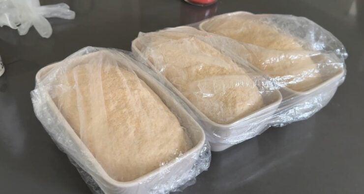 risen fresh milled flour sandwich dough