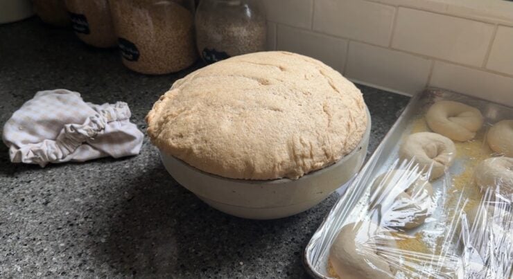 risen sourdough potato bread with freshly milled flour