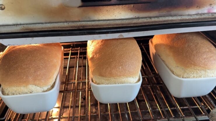 baked sourdough sandwich bread